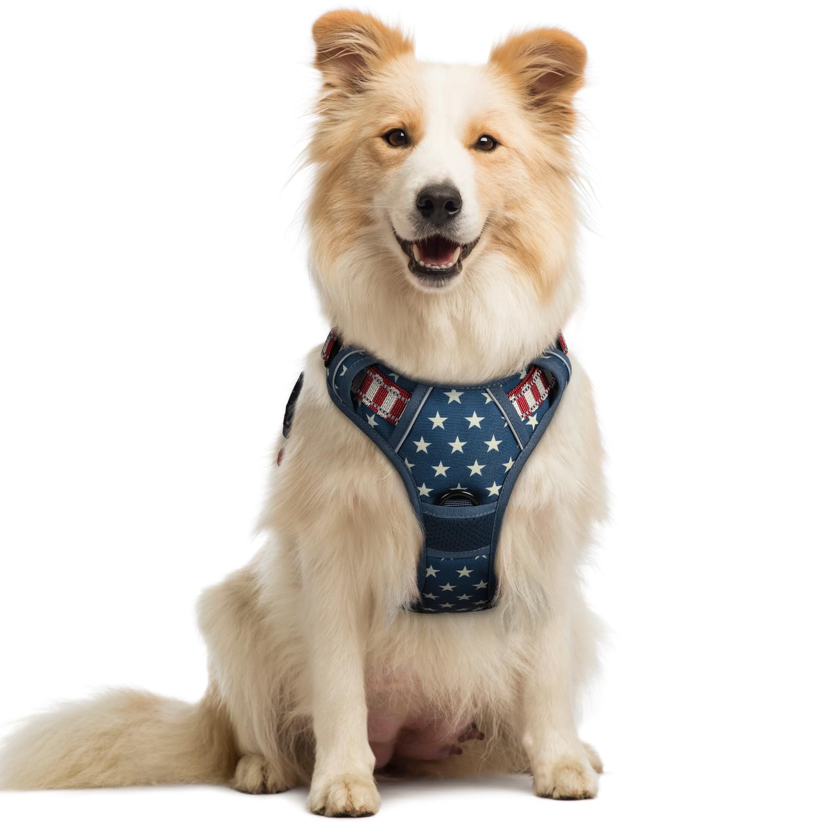 rabbitgoo Hundegeschirr Mittelgroße Hunde, Anti Zug Geschirr mit Kontrolle, No Pull Verstellbar Hundegeschirr Grosse Hunde, Atmungsaktiv Reflexstreifen Brustgeschirr Sichere