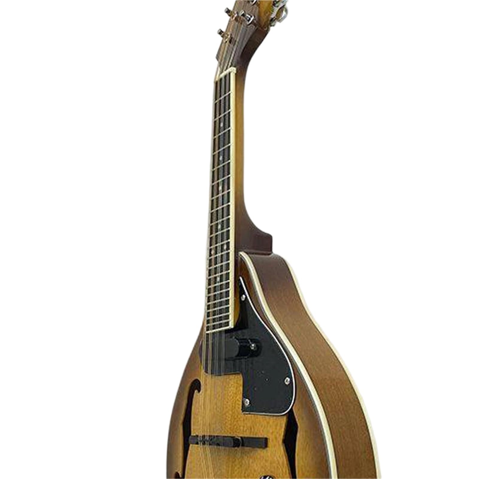 Mandolina Dla Początkujących Gitara Mandolina Elektryczne Instrumenty Akustyczne Początkujący Dorośli Profesjonaliści