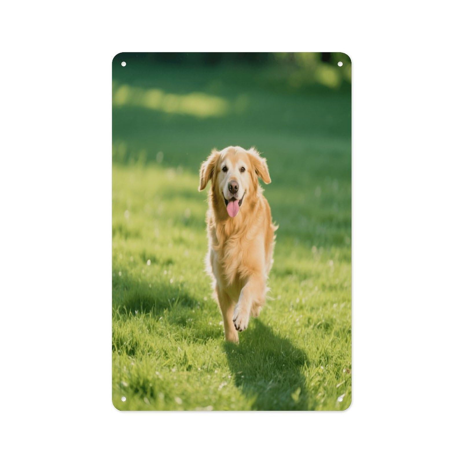 Fekiloot Style Golden Retriever Wall Decor Metal Signs Tin Signs Poster