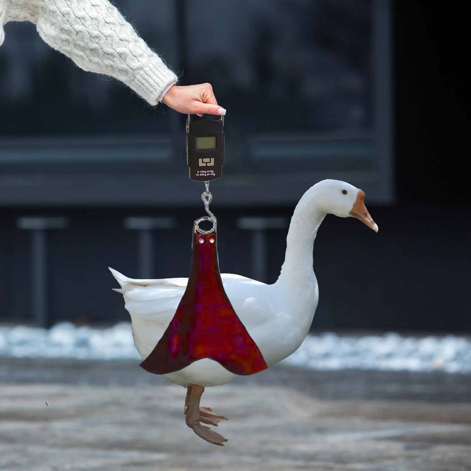 Pesaje de aves de corral - Porta portátil de pollo portabebés electrónica de pollo pato báscula | Gallina de ganado ganado ganado, patio de aves de medición de peso para agricultores autosuficientes