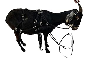 Goat Pulling Harness by Carter Pet Supply