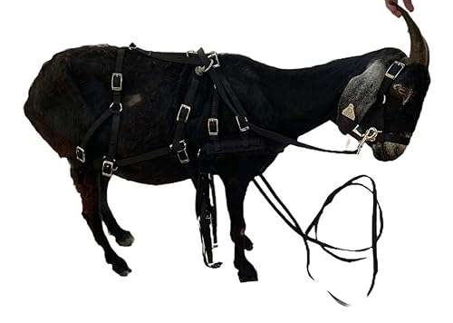 Goat Driving Harness USA Made Heavy Duty Lined 4 colors Carter Pet Supply