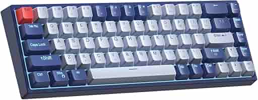 Amazon.com: XISOGUU Wireless 61% Mechanical Keyboard, Modes
