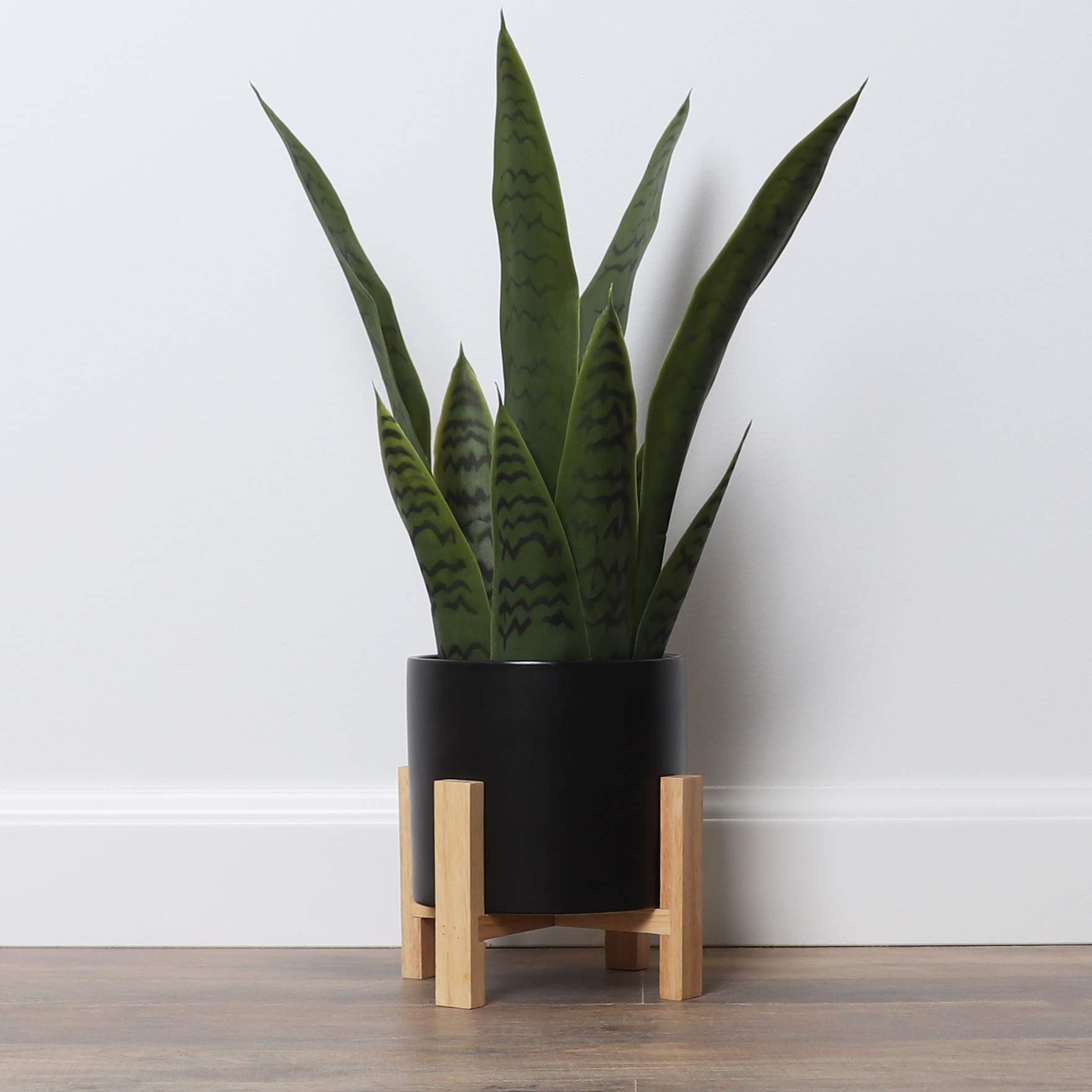 Amazon.com: Bornbridge Artificial Snake Plant with Mid Century