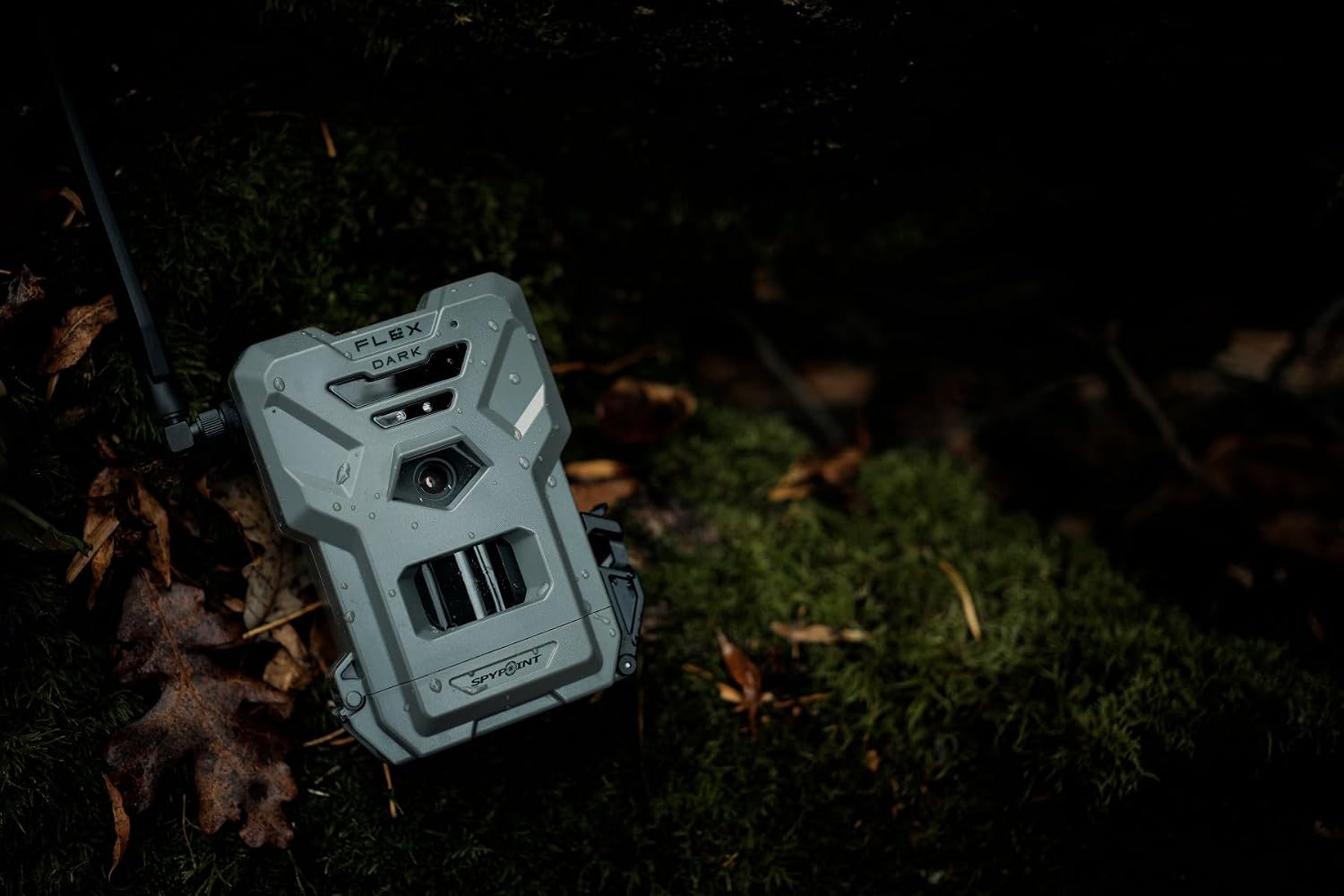 SPYPOINT Flex Dark camera mounted on a tree in a forest setting