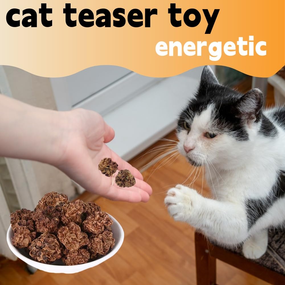 Frutas Matatabi,20pcs Juguetes para Gatos para Limpieza de Dentición,Cat Teething Toys,Snack Gatera para Limpiar Dientes