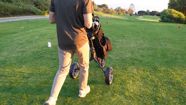 Amazon.com: KVV 3 Wheel Foldable/Collapsible Golf Push Cart