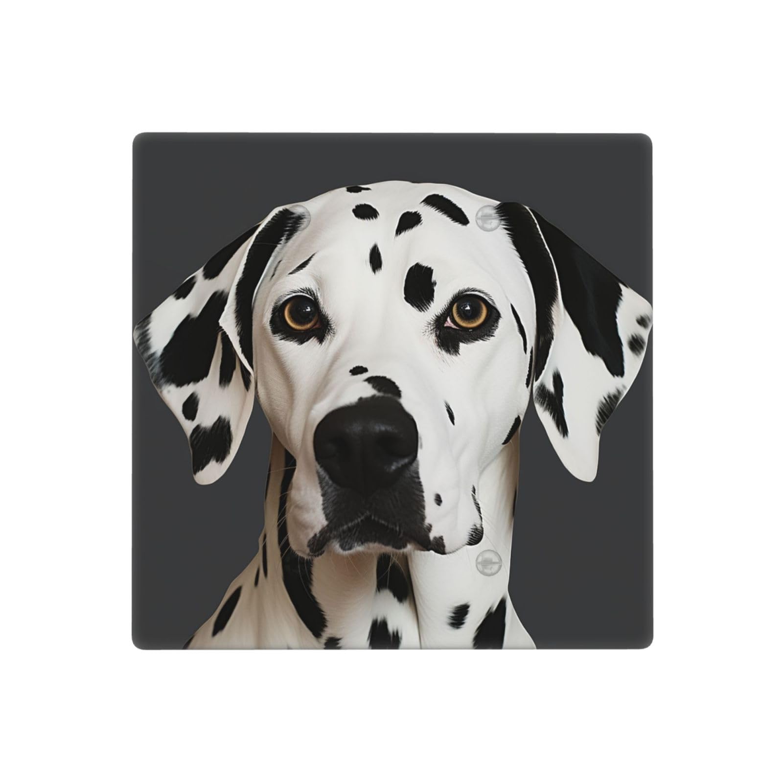 Decorator Wall Plate 2 Gang Light Switch Covers Dalmatian Wallplate Double Toggle Switch Plate Standard Size Electrical Outlet Covers Decorative Wall Switch Plate Cover