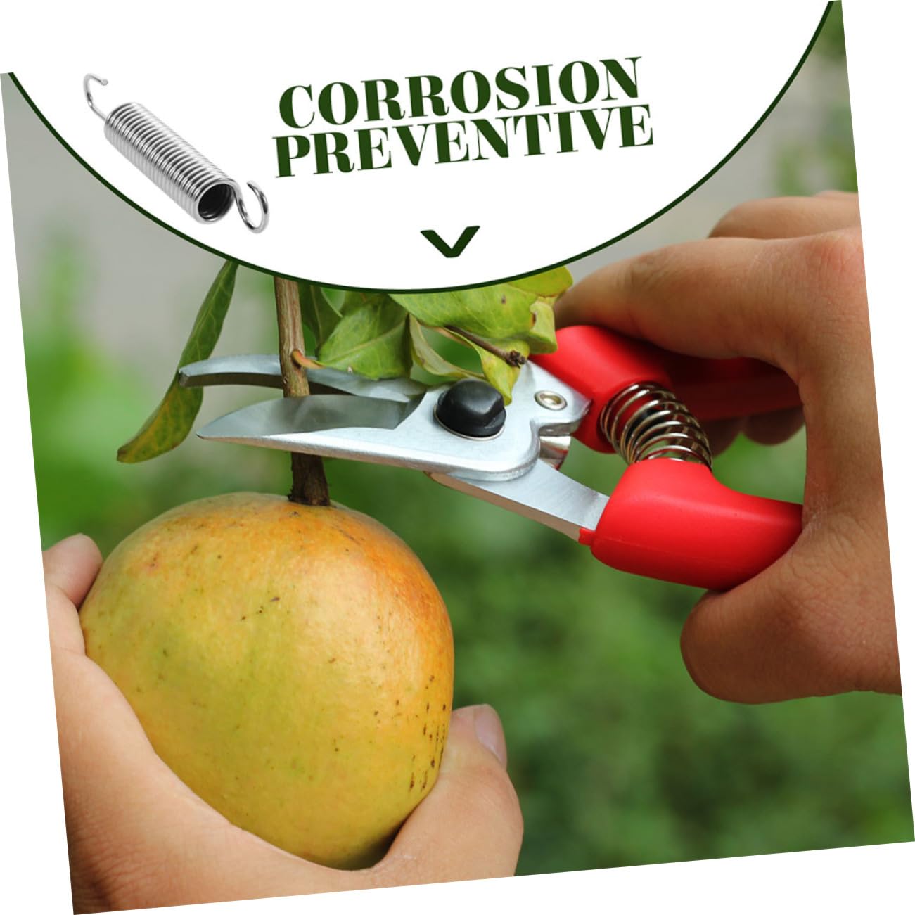 ibasenice 3 Set Molle Acciaio Inossidabile Per Forbici Da Potatura Molle Di Ricambio Resistenti E Facili Da Installare Accessorio Per Cesoie Da Giardino Sostituzione Pratica E 16 Pezzi*3