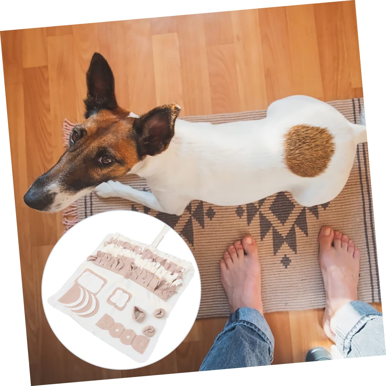 COLLBATH Tapis de Fouille Olfactif pour Chien en Peluche Beige, Activité