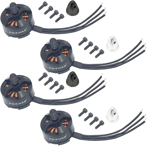 FEICHAO 4 unidades1 pieza 2204 2300KV motor sin escobillas CCW CW para bricolaje Mini Multirotor Quadcopter 210 250 270 Robotcat Racing Drone (2