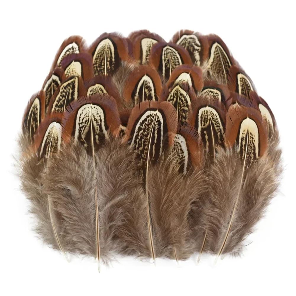 Lot De 10 Plumes De Faisan Naturelles Pour L'artisanat, Le