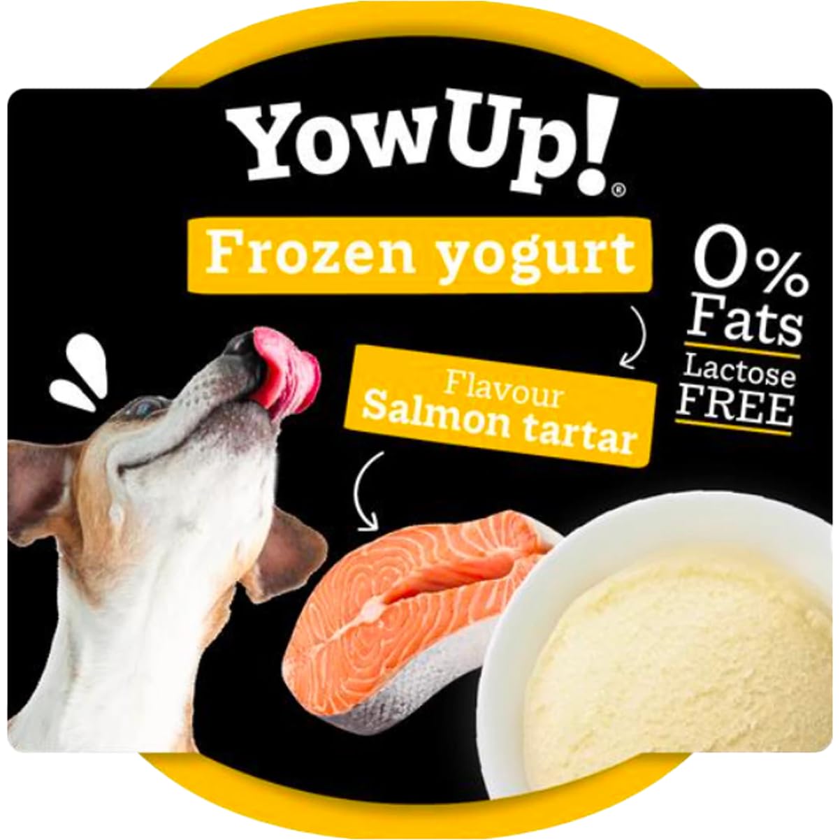 YowUp! Ice Cream for Dogs Salmon Tartar Flavour 12 Units. Natural and Healthy Snack, 110 g (Pack of 12)