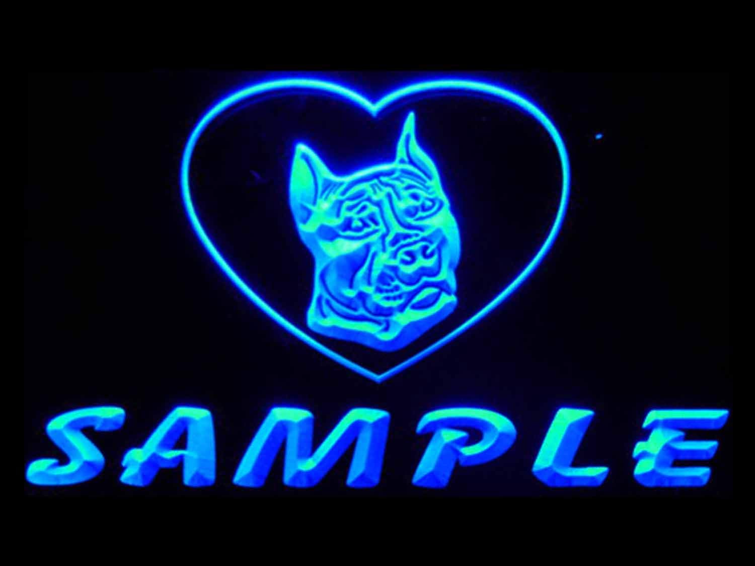 ADVPRO vd-tm Name Personalized Custom Pit Bull Dog House Home Neon Sign