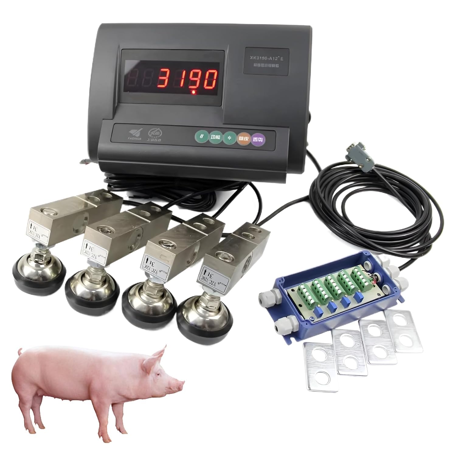 Kit balance haute précision 3000 kg avec boîte de jonction