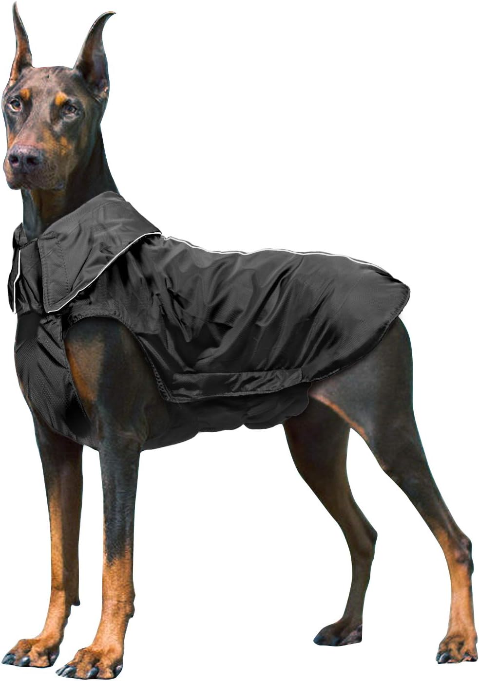 Manteau pour grands chiens.