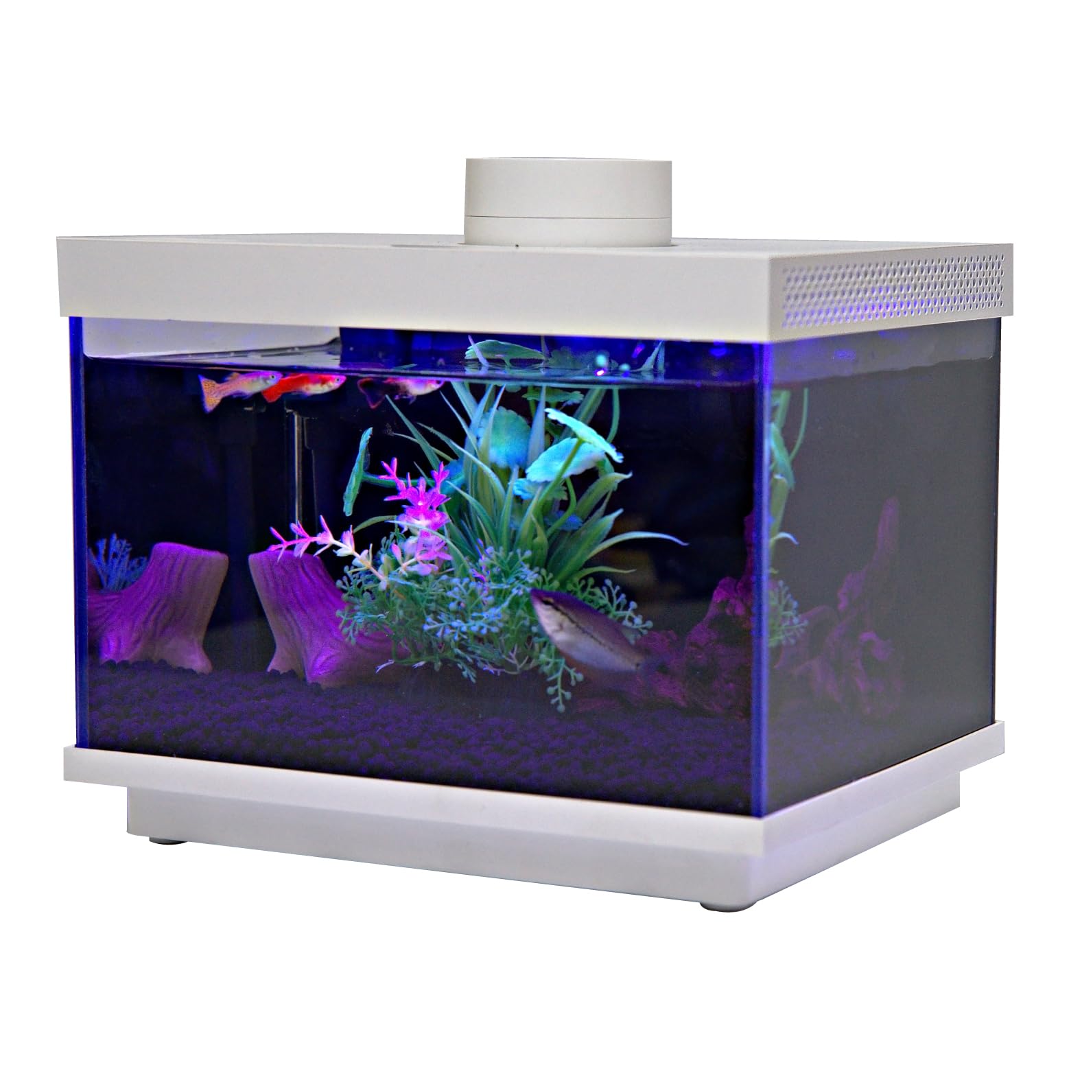 Amazon | 小型 オールインワン スマート水槽 多機能水槽☆FiSH