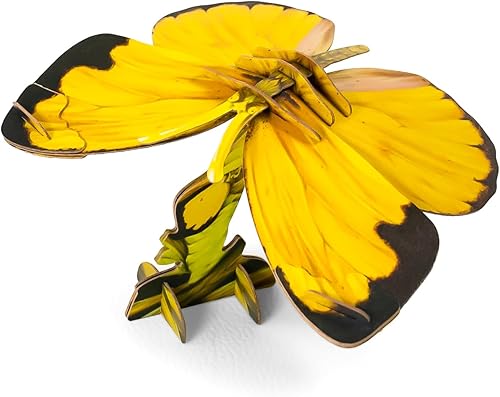 Miniatura 8 de MAKEBUG Juguetes para ansiedad, rompecabezas de papel 3D ecológicos para actividades educativas STEM y aprendizaje temprano, juguetes sensoriales