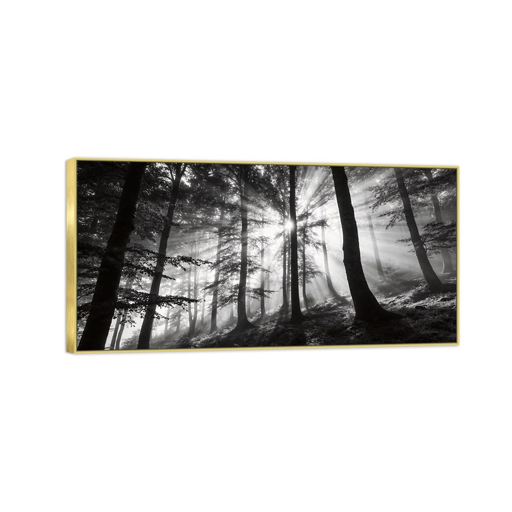 Tree Sunshine 2 Black White Landscape Canvas Picture 20x40cm Gold Frame
