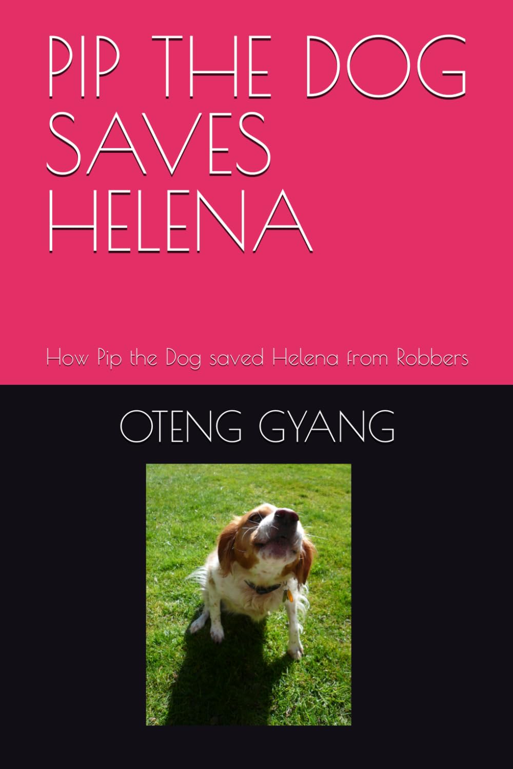 PIP THE DOG SAVES HELENA: How Pip the Dog saved Helena from Robbers (THE ADVENTURES OF PIP THE DOG)