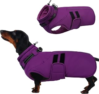 IECOii Winterjacken & Wintermäntel Für Hunde,Warme Hundejacke Winter,Wasserdichter Hundemantel,Verstellbarer Hundemantel Winter,Reflektierende Hundejacke Wasserdicht,Gürtel WinterHundemantel,Lila,M