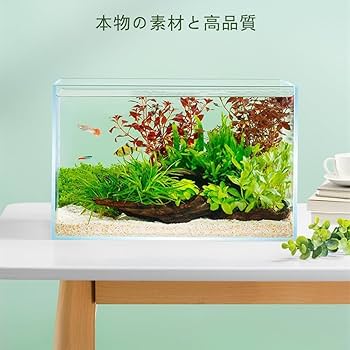 ヴィンテージ　希少　ゆらガラス　足付き　水槽 ヴィンテージ 希少 ゆらガラス 足付き 水槽