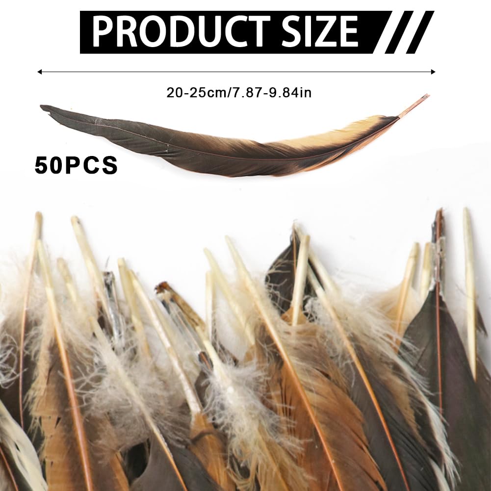 50 Pcs Natural Roosters Feathers, Natural Feathers Decoration, Soft Pheasant Tails Feather, Brown Rooster Tails Feather for Dream Catchers DIY, Hair Hats, Cosply Props, Party Decoration (StyleA,50pcs) - Image 2