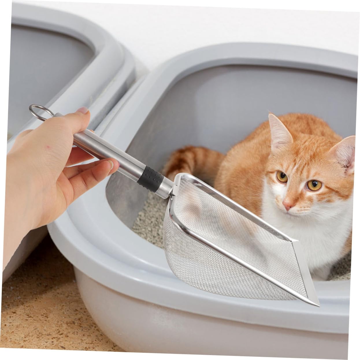 Palas Metálicas para Gatos y Reptiles Accesorio De Limpieza Mango Antidesgaste Tipo De Mascotas