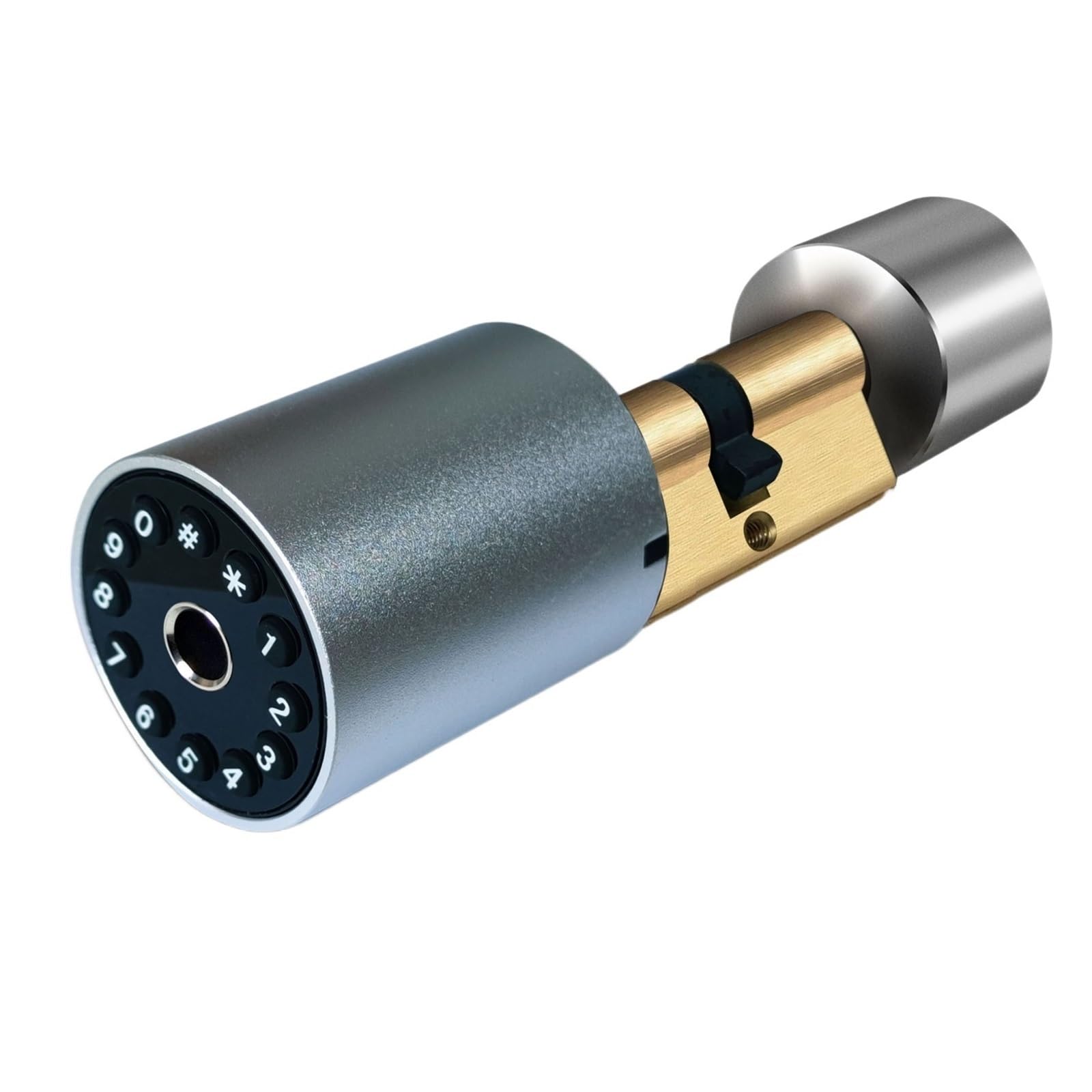 CVFRDD Smart Door Knob, Variable Size Smart Door Lock Outdoor Electronic Fingerprint Tuya APP Cylinder Password Keyless Entry Door Handle(Password Fingerprint)