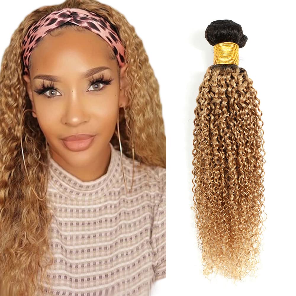 1b27 Ombre Kinky Curly Human Hair Bundles Brazilian Remy