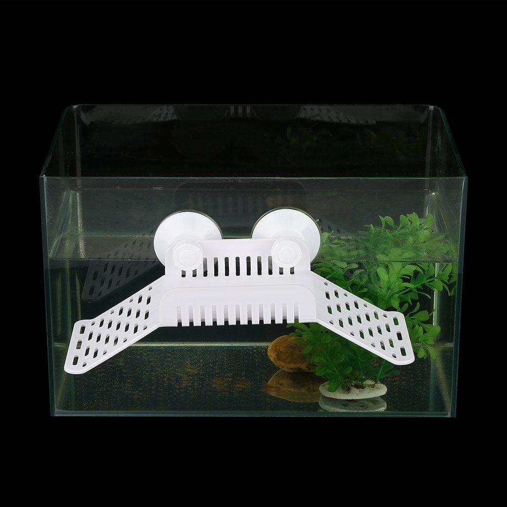 Plate-Forme Flottante pour Tortues de Reptiles avec Une Ventouse Forte Aquarium Animal Escalade Se prélasser au Repos Tortues Dock Jouets