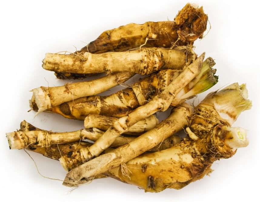 2 Horseradish Plant in 4 inch PotsHorseradish for Good