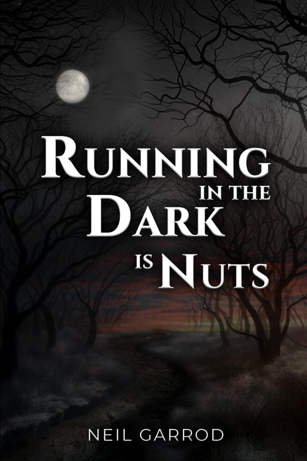 Running in the Dark is Nuts (Neil Garrod Poetry Anthologies)