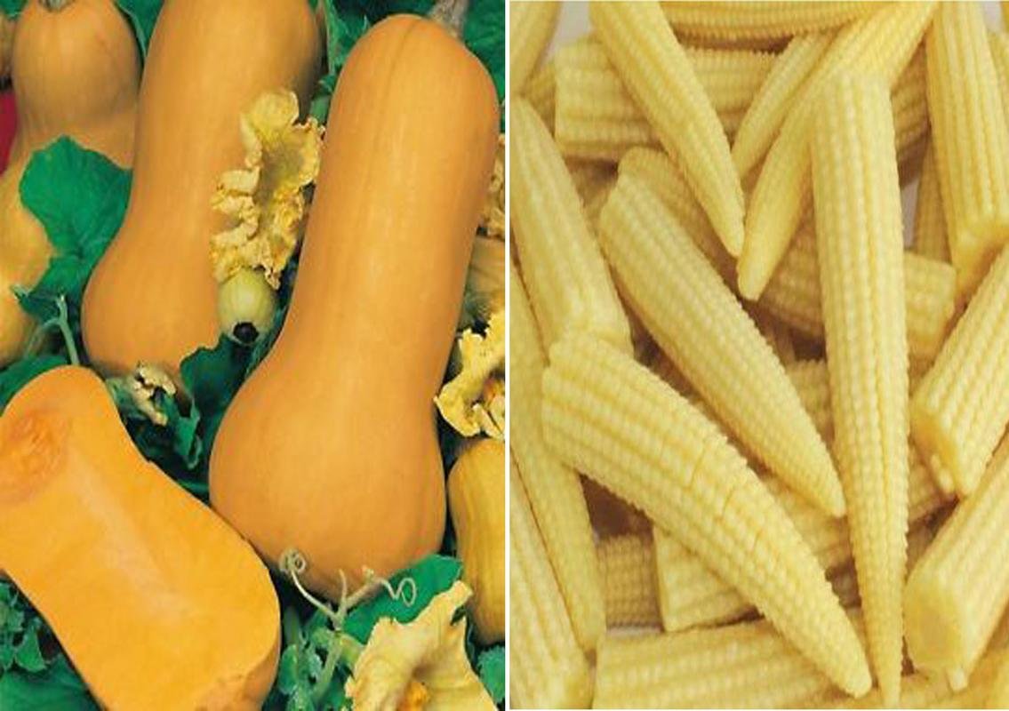 ™ -1349 Squash Waltham Butternut and Baby Corn Seeds
