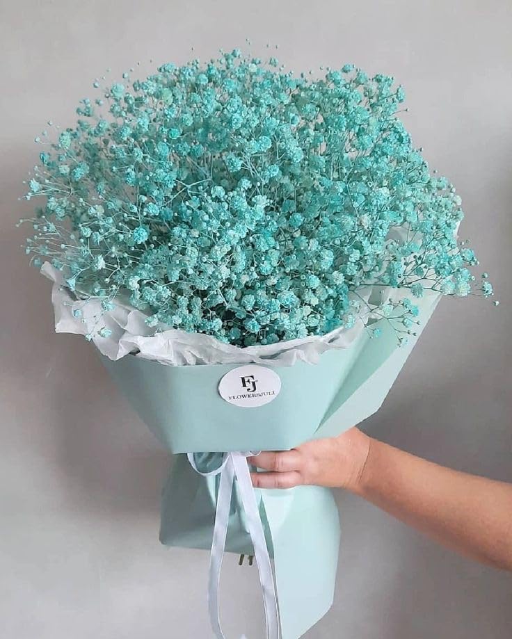 SVG® Gypsophila Babys Breath Imported Flower Seeds - Pack of 30 to 40 Seeds (Sea Blue) (B0CVQT84W6) Amazon Price History, Amazon Price Tracker