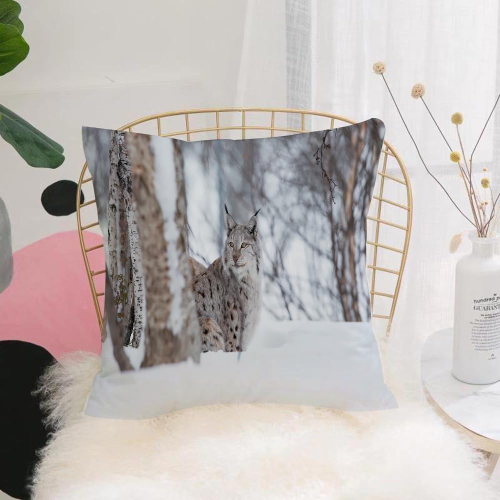 HYOSXW Cushion Cover,Throw Pillow Case Home Decorative for Living Room Bedroom Sofa Chair 16X16 Inch,A european lynx in the snow. Cold winter February Norway.,Pillowcase 40X40cm