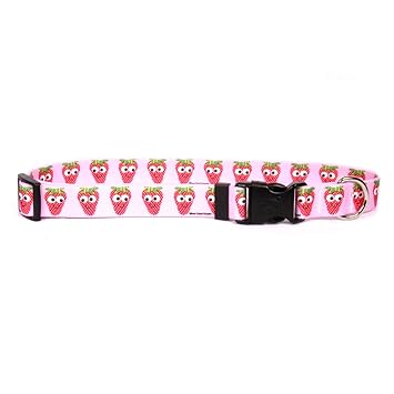 Yellow Dog Design Sweet Strawberries Dog Collar-Size X-Small-3/8 inch Wide and fits Neck Sizes 8 to 12 inches