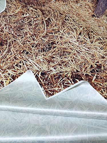 Huayi 5X10Ft Yellow Fall Photography Backdrops Farm Haystack Backdrop Barn Background Photo Booth Props Kp-006 #TOP4