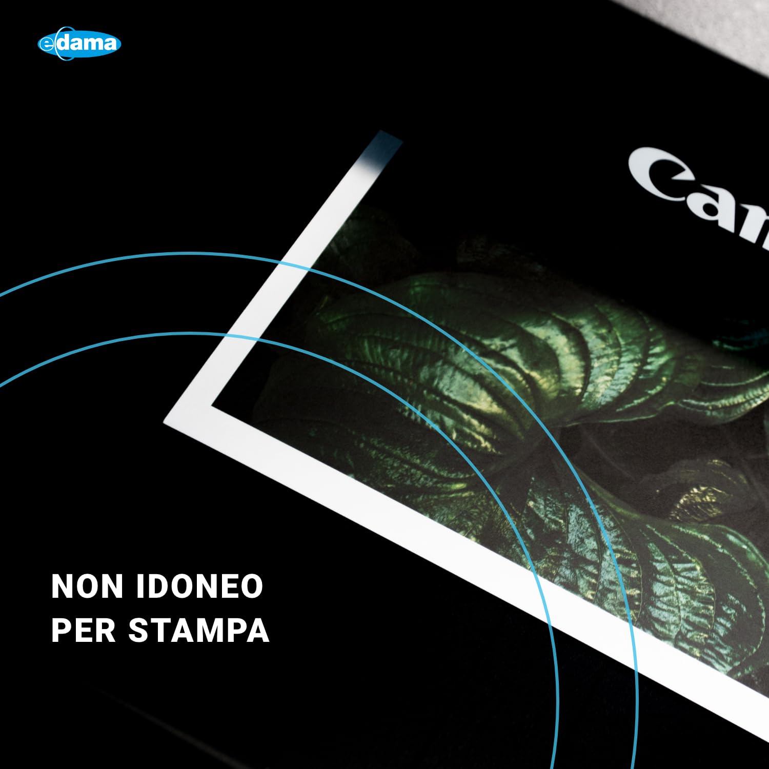 e-dama 20 Fogli Adesivi A3 (297 x 420 mm), Carta Biadesiva - Polipropilene Lucido, Trasparente