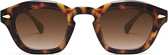Small Retro Square Sunglasses for Women Mens Rectangle Sunnies AP3680