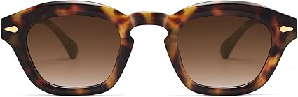 Small Retro Square Sunglasses for Women Mens Rectangle Sunnies AP3680
