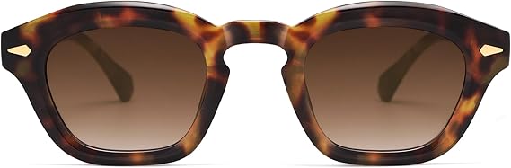 Small Retro Square Sunglasses for Women Mens Rectangle Sunnies AP3680
