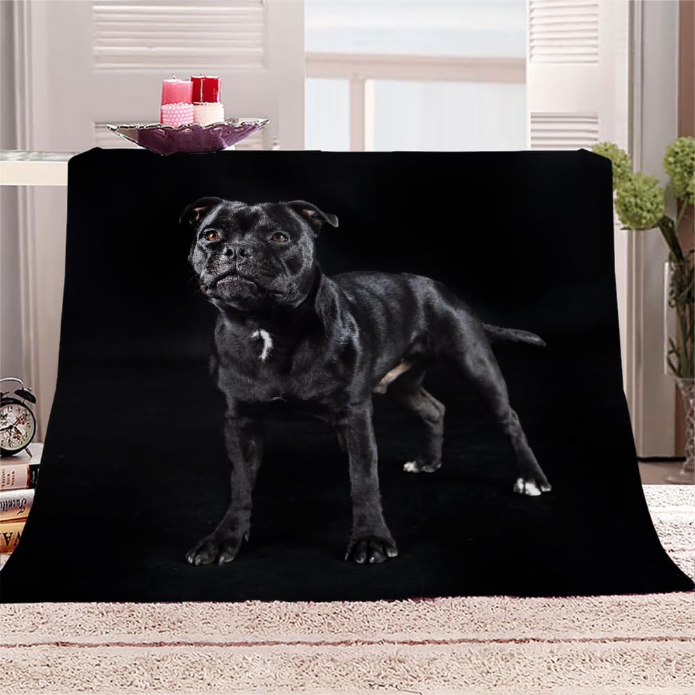 Staffordshire Bull Terrier Plaid Couverture Polaire en Microfibre Chien Animal Jeté de Canapé Couverture lit en Flanelle Super Douce et Chaude Confortable Peluche Plaid Polaire 2 Personnes 150x200cm
