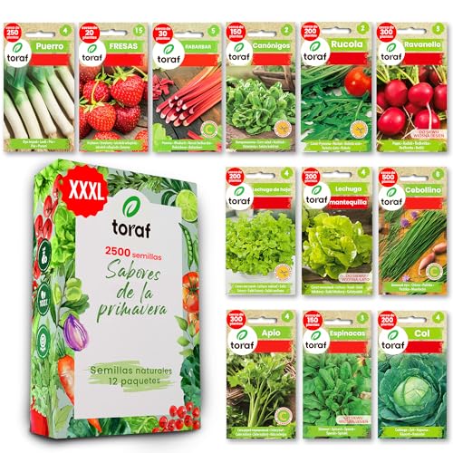 LW TORAF Set de Semillas Huerto 12 variedades premium de hortalizas, semillas, plantas jardín, balcón, cocina, ensaladas, fresa, rábano, cebollino, espinaca, rúcula, ruibarbo, plantas aromaticas