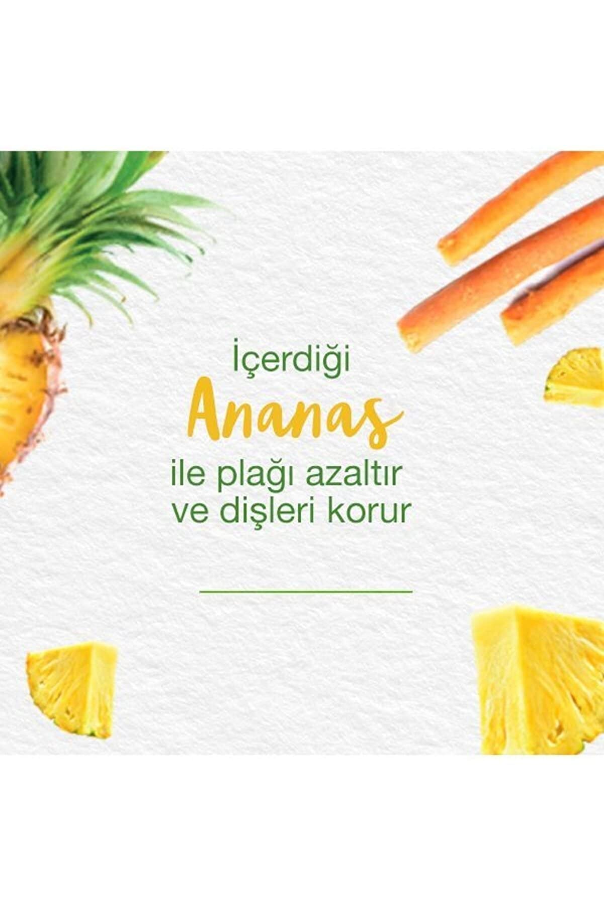 Himalaya Leke Karşıtı Bitkisel Diş Macunu, Florürsüz, Parabensiz, Vejeteryan, Leke Çıkartıcı, Bitkisel Enzim Teknolojisi, 75 ml