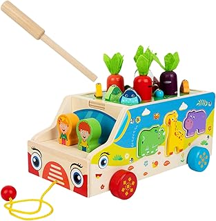 Generico Fine Motor Skills Toys, Wooden Shape Sort