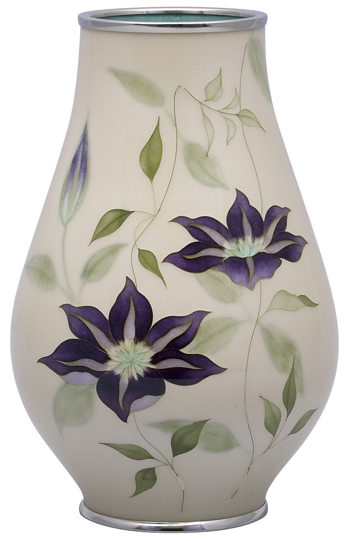 Amazon.co.jp: 彩光舎 七宝焼き 花瓶 80号変形鉄線 110-11 : ホーム