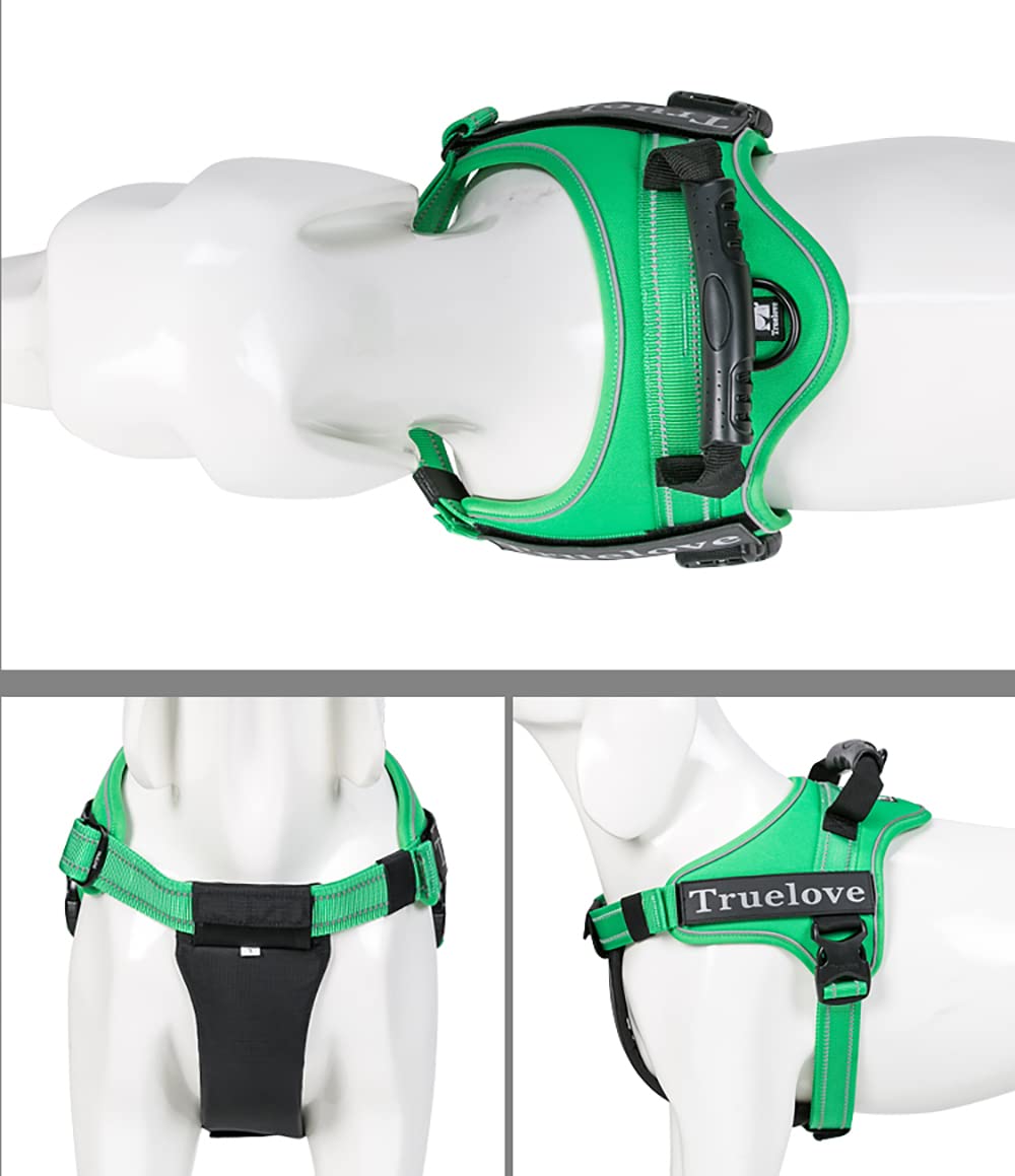 Amazon | J&C Paradise 2WAY 犬ハーネス 日本正規店 犬用胴輪 八の字型