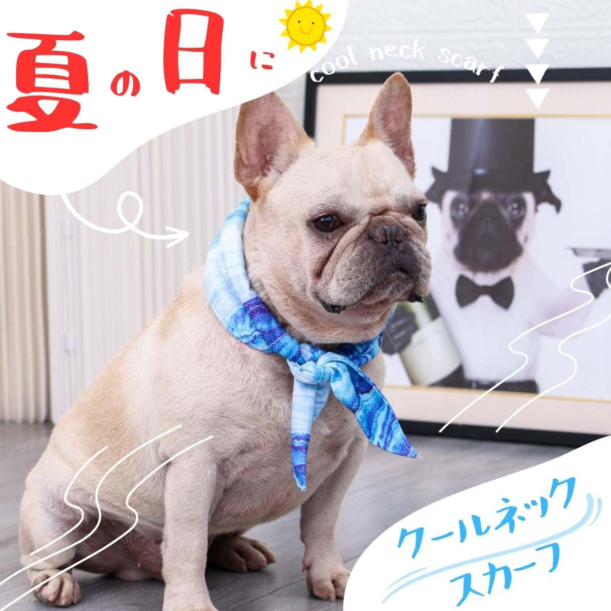 Amazon | PetGround犬 夏 クールネック 冷たい首輪 接触冷感 首