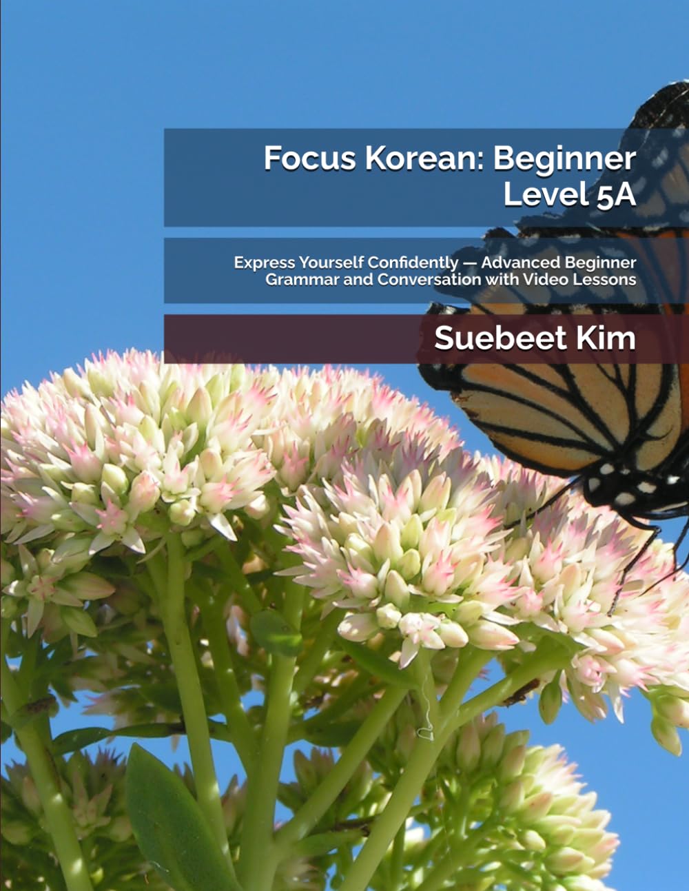 Focus Korean: Beginner Level 5A: Express Yourself Confidently — Advanced Beginner Grammar and Conversation with Video Lessons: 11 (TheKoreanTutor.com ... Learning System—from Hangeul to Fluency.)